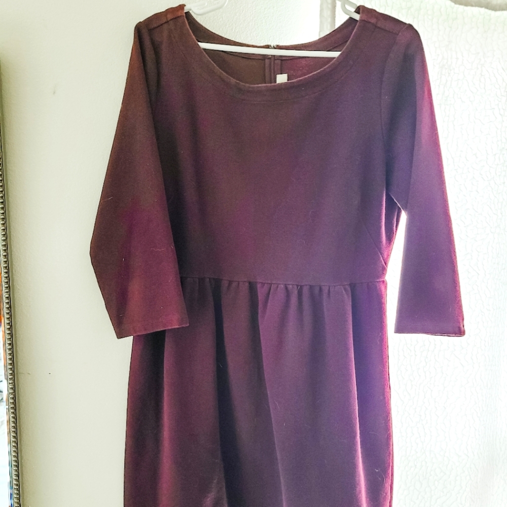 Ann Taylor Wine colored Dress